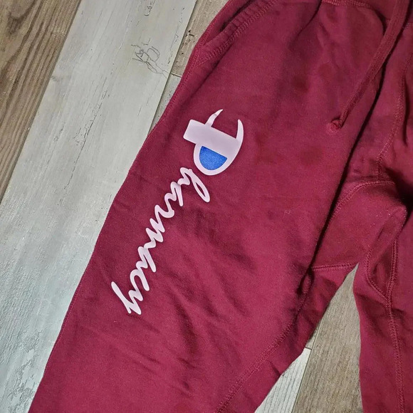Pharmacy Boardshop Burgundy Question Authority Fleece-lined Joggers Size Medium - Picture 9 of 15